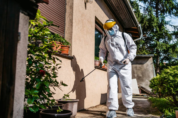 Best Local Pest Control Services  in Oak Grove, MS