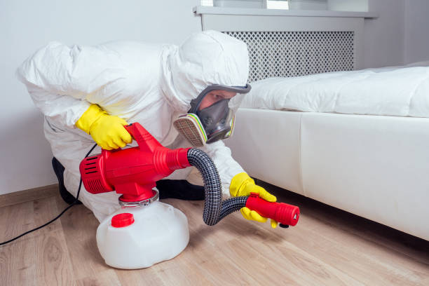 Best Insect Control  in Oak Grove, MS