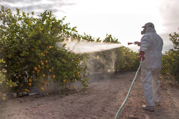 Best Best Pest Control Near Me  in Oak Grove, MS