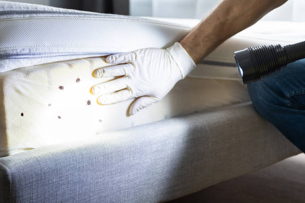 Best Pest Control Near Me in Oak Grove, MS