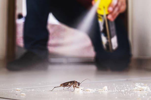 Oak Grove, MS Pest Control Company