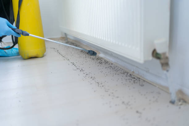 Best Pest Removal Services  in Oak Grove, MS